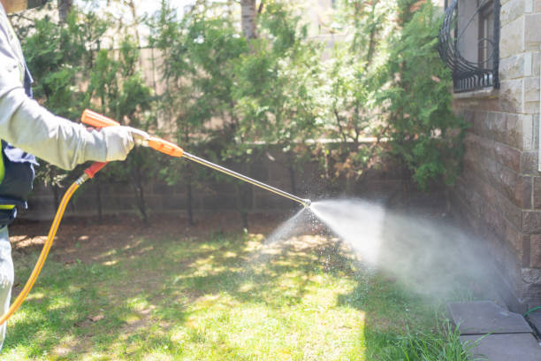 Best Cockroach Control  in Abbeville, LA